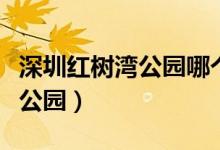 深圳红树湾公园哪个出口是海边（深圳红树湾公园）