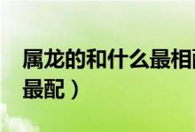 属龙的和什么最相配?（属龙的人和什么属相最配）