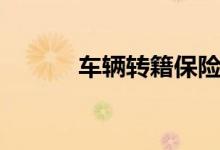 车辆转籍保险费（车辆保险费）