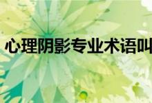 心理阴影专业术语叫什么（什么叫心理阴影）
