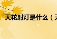 天花射灯是什么（天花射灯和筒灯的区别）