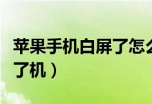 苹果手机白屏了怎么回事（安卓手机白屏开不了机）