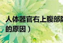人体器官右上腹部隐痛的原因（右上腹部隐痛的原因）