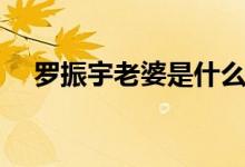 罗振宇老婆是什么人（罗振宇老婆照片）