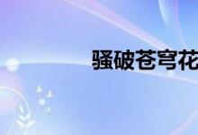 骚破苍穹花奴（骚破苍穹）