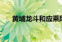 黄埔龙斗和应乘风谁厉害（黄埔龙斗）