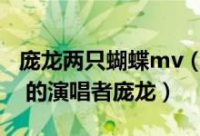 庞龙两只蝴蝶mv（谁能多介绍一下 两只蝴蝶 的演唱者庞龙）