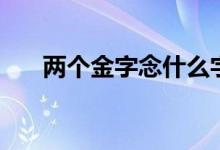 两个金字念什么字（两个金念什么字）