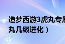 造梦西游3虎丸专属技能搭配（造梦西游3虎丸几级进化）