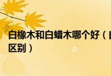 白橡木和白蜡木哪个好(白蜡木和橡木哪个好 白蜡木和橡木区别)