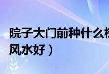 院子大门前种什么树风水好（大门前种什么树风水好）