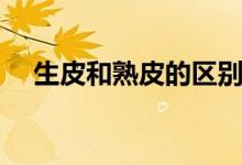 生皮和熟皮的区别（生啤和熟啤的区别）