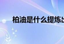柏油是什么提炼出来的（柏油是什么）
