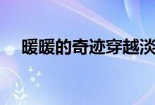 暖暖的奇迹穿越淡书墨（穿越的幻想书）