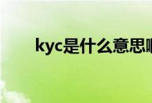 kyc是什么意思啊（kyc是什么意思）