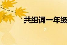 共组词一年级（丁组词一年级）