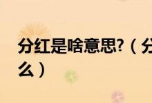 分红是啥意思?（分红股是什么意思指的是什么）