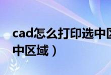 cad怎么打印选中区域图纸（cad怎么打印选中区域）
