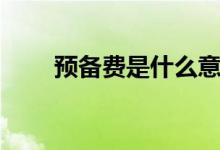 预备费是什么意思（预备费是什么）