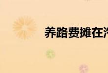 养路费摊在汽油里（养路费）