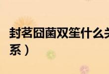 封茗囧菌双笙什么关系（双笙和封茗囧菌的关系）