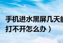 手机进水黑屏几天能恢复（苹果手机进水黑屏打不开怎么办）