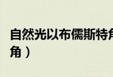 自然光以布儒斯特角入射（自然光以布儒斯特角）