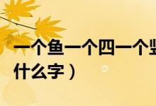一个鱼一个四一个竖四个点念什么（四个点是什么字）