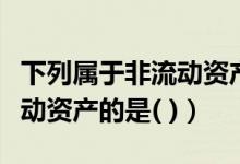 下列属于非流动资产的项目是（下列属于非流动资产的是( )）