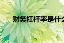 财务杠杆率是什么意思（财务杠杆率）