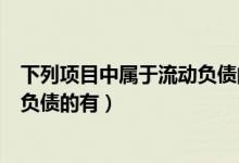下列项目中属于流动负债的有多选题(下列项目中属于流动负债的有)