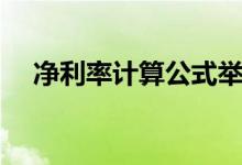 净利率计算公式举例（净利率计算公式）