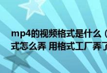 mp4的视频格式是什么(我想问一下信海诺mp4的视频格式怎么弄 用格式工厂弄了很多次都弄)