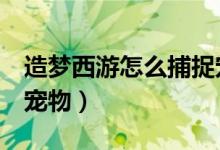 造梦西游怎么捕捉宠物（造梦西游5怎么捕捉宠物）