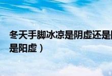 冬天手脚冰凉是阴虚还是阳虚女人(冬天手脚冰凉是阴虚还是阳虚)