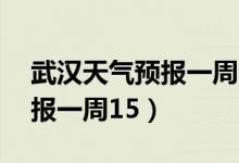武汉天气预报一周15天查询（武汉市天气预报一周15）