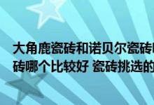 大角鹿瓷砖和诺贝尔瓷砖哪个好（诺贝尔瓷砖和马可波罗瓷砖哪个比较好 瓷砖挑选的小窍门都包）