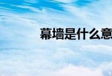 幕墙是什么意思（幕墙是什么）