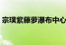宗璞紫藤萝瀑布中心思想（宗璞紫藤萝瀑布）