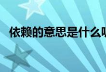 依赖的意思是什么呢（依赖的意思是什么）