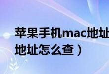 苹果手机mac地址怎么查询（苹果手机mac地址怎么查）