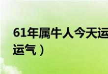61年属牛人今天运气如何（61年属牛人今天运气）