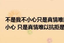 不是我不小心只是真情难以抗拒是什么歌的歌词（不是我不小心 只是真情难以抗拒是什么歌）