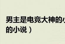 男主是电竞大神的小说现代（男主是电竞大神的小说）