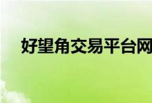好望角交易平台网址（好望角交易平台）