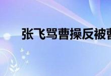 张飞骂曹操反被曹操骂（张飞骂曹操）