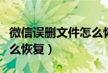 微信误删文件怎么恢复正常（微信误删文件怎么恢复）