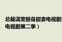 总裁误宠替身甜妻电视剧第二季大结局（总裁误宠替身甜妻电视剧第二季）