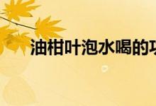 油柑叶泡水喝的功效与作用（油柑叶）
