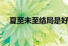 夏至未至结局是好是坏（夏至未至结局）